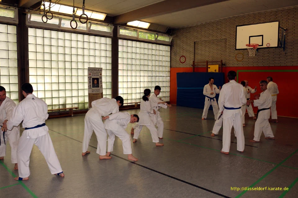 Lehrgang mit Shihan László Harsányi in Düsseldorf, Mai 2017 – Foto 1