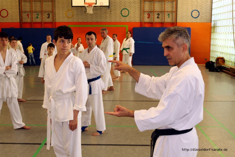Lehrgang mit Shihan László Harsányi in Düsseldorf, Mai 2017 – Foto 2