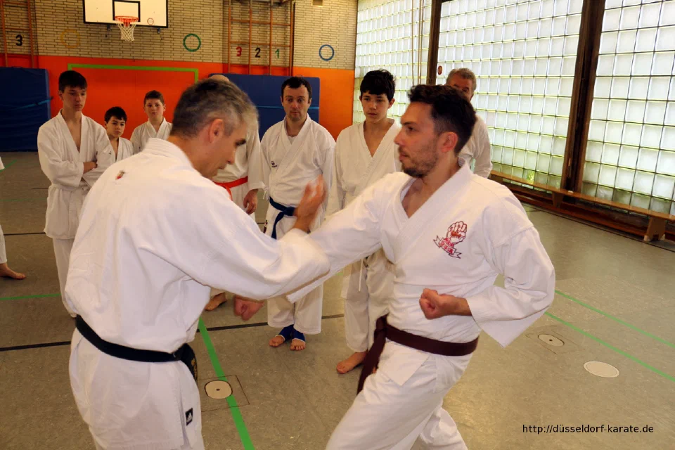 Lehrgang mit Shihan László Harsányi in Düsseldorf, Mai 2017 – Foto 3