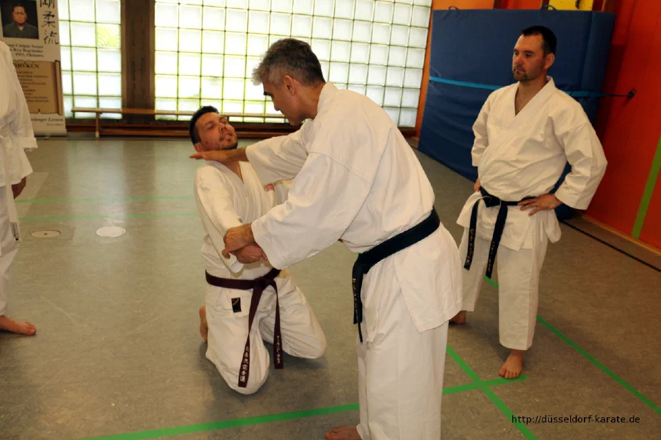 Lehrgang mit Shihan László Harsányi in Düsseldorf, Mai 2017 – Foto 4