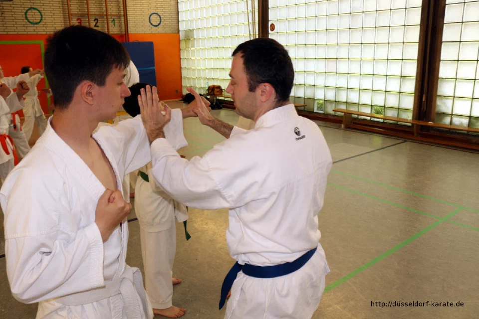 Lehrgang mit Shihan László Harsányi in Düsseldorf, Mai 2017 – Foto 5