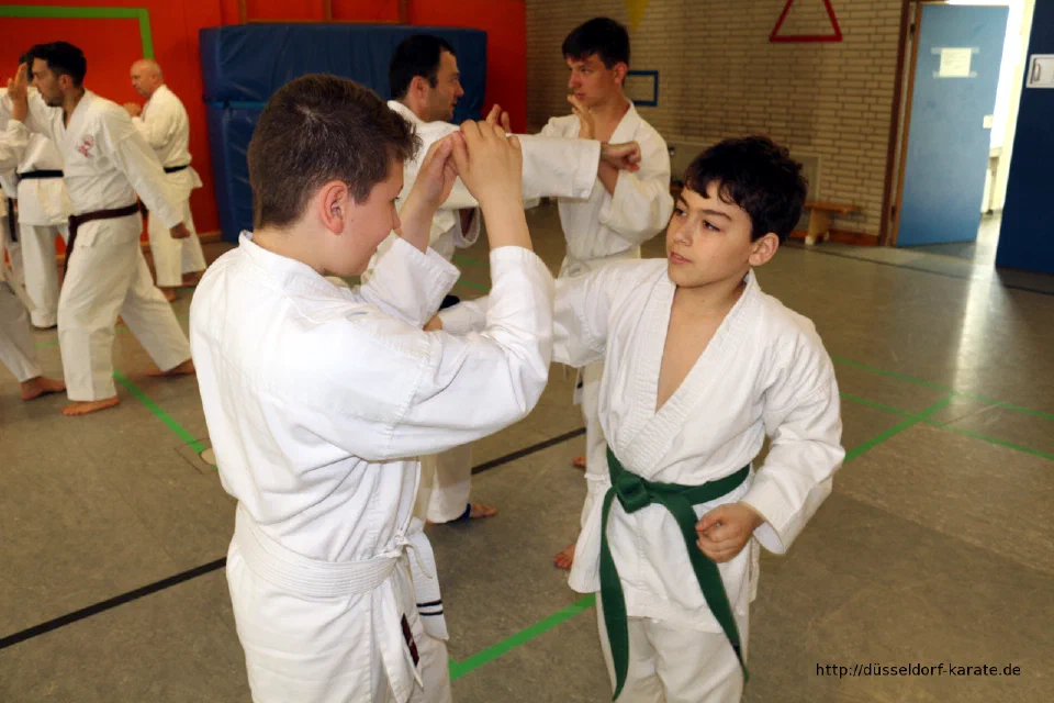 Lehrgang mit Shihan László Harsányi in Düsseldorf, Mai 2017 – Foto 6