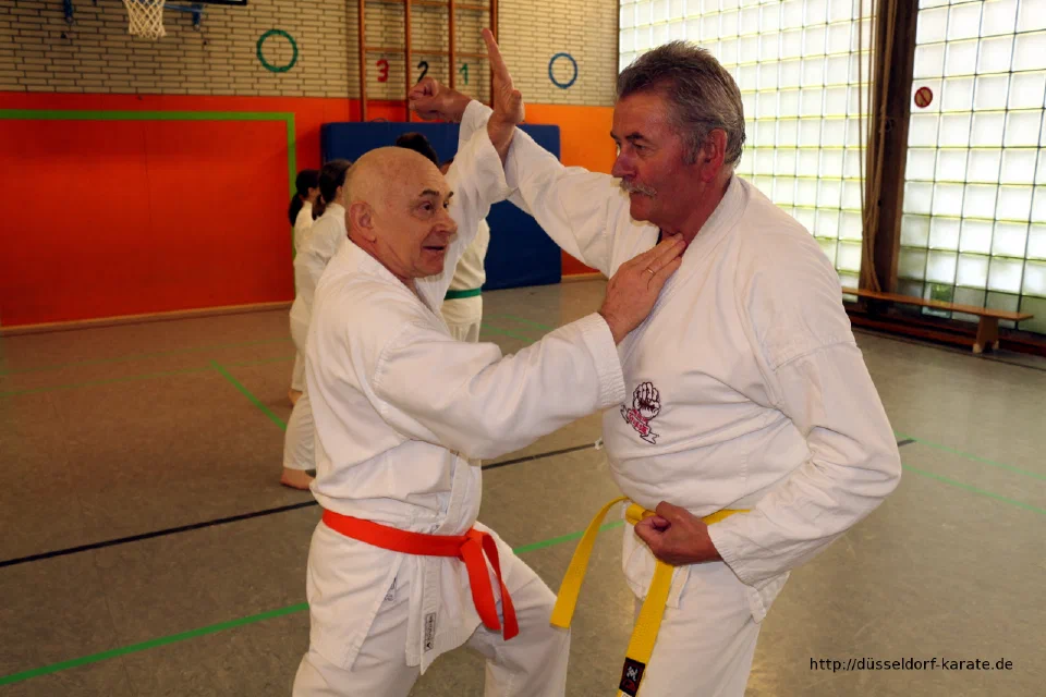 Lehrgang mit Shihan László Harsányi in Düsseldorf, Mai 2017 – Foto 7