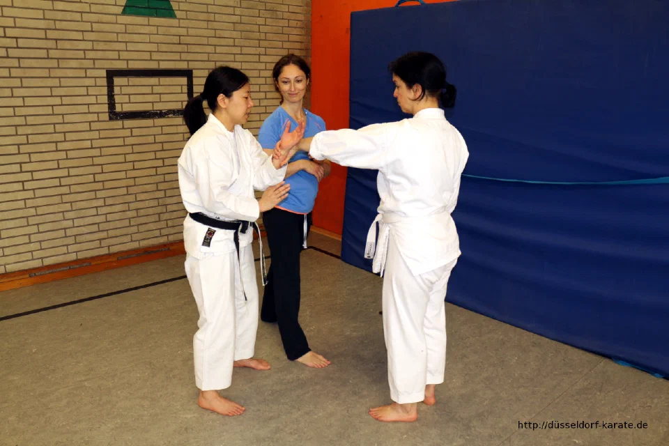 Lehrgang mit Shihan László Harsányi in Düsseldorf, Mai 2017 – Foto 8