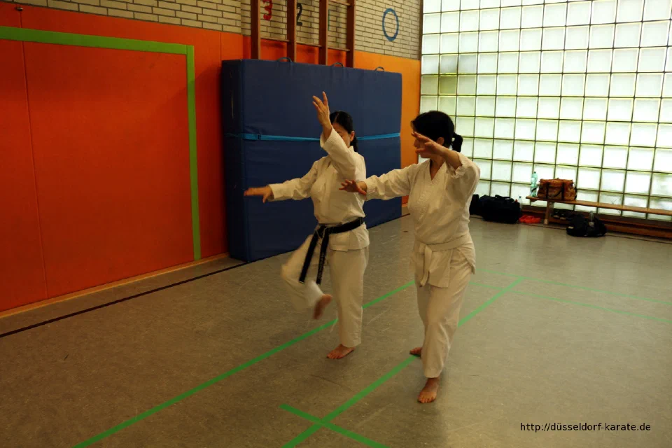 Lehrgang mit Shihan László Harsányi in Düsseldorf, Mai 2017 – Foto 9