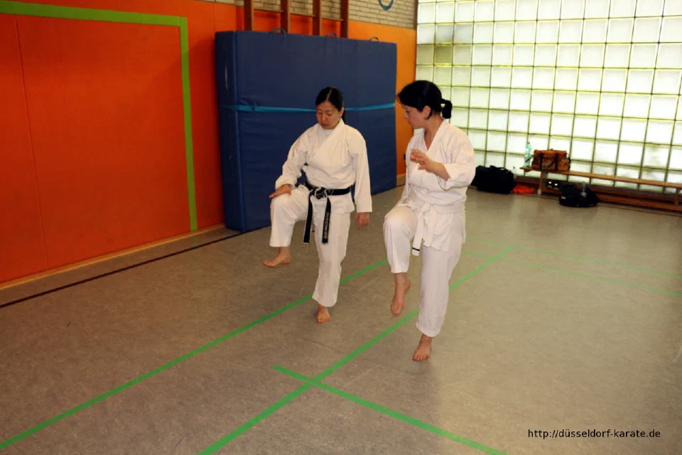 Lehrgang mit Shihan László Harsányi in Düsseldorf, Mai 2017 – Foto 10