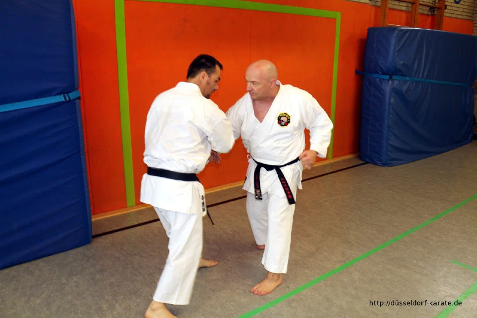 Lehrgang mit Shihan László Harsányi in Düsseldorf, Mai 2017 – Foto 11