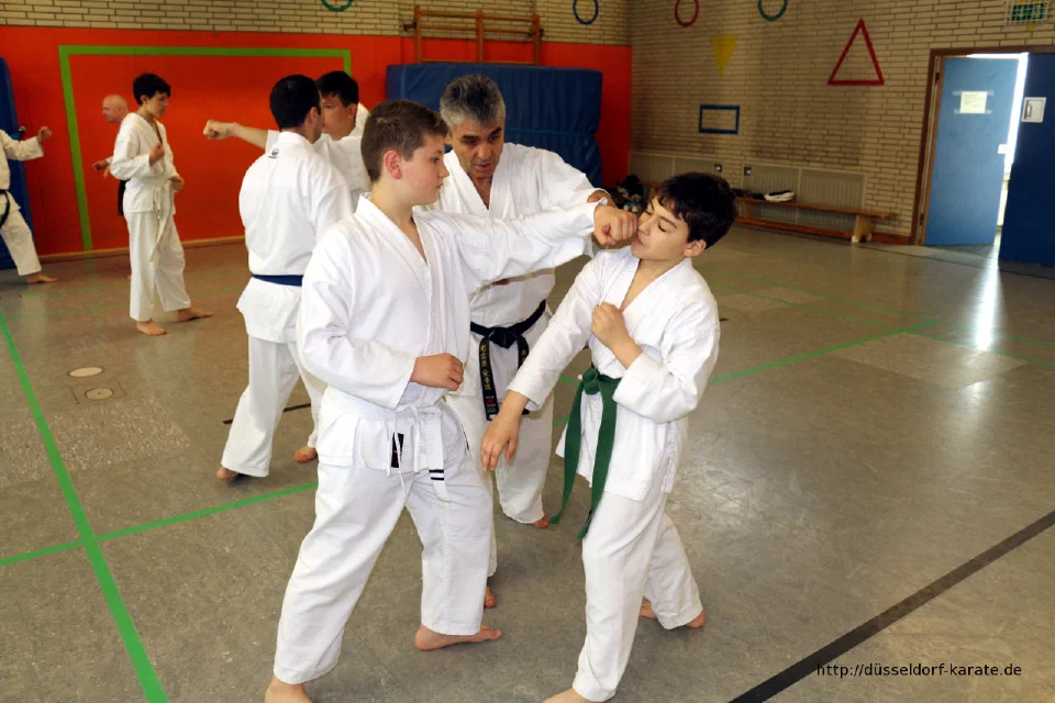 Lehrgang mit Shihan László Harsányi in Düsseldorf, Mai 2017 – Foto 12