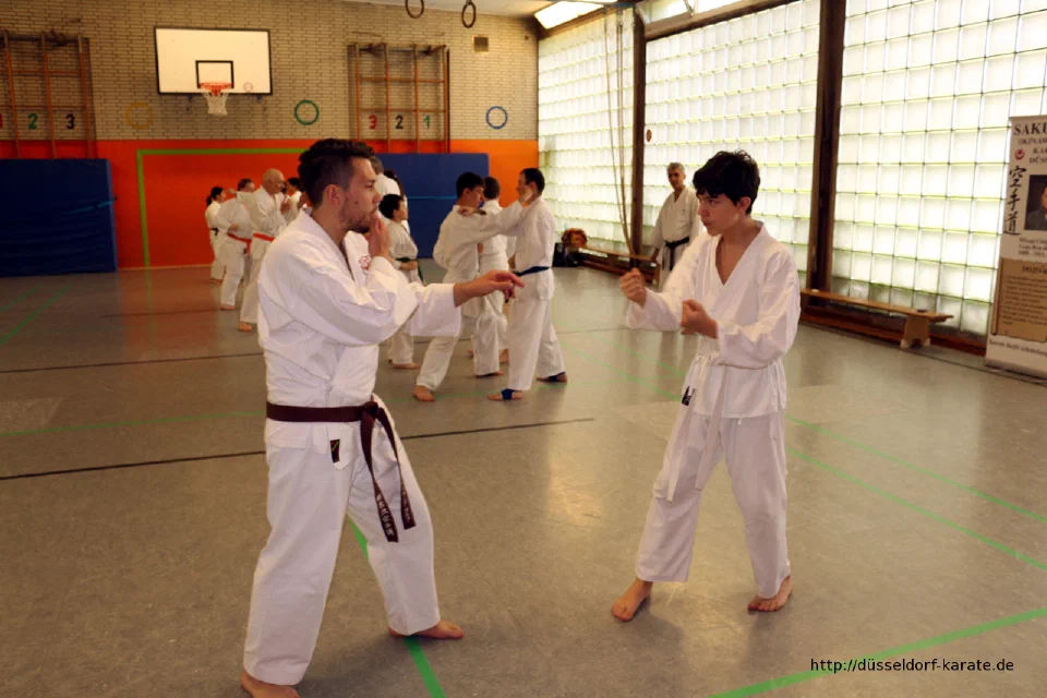 Lehrgang mit Shihan László Harsányi in Düsseldorf, Mai 2017 – Foto 13