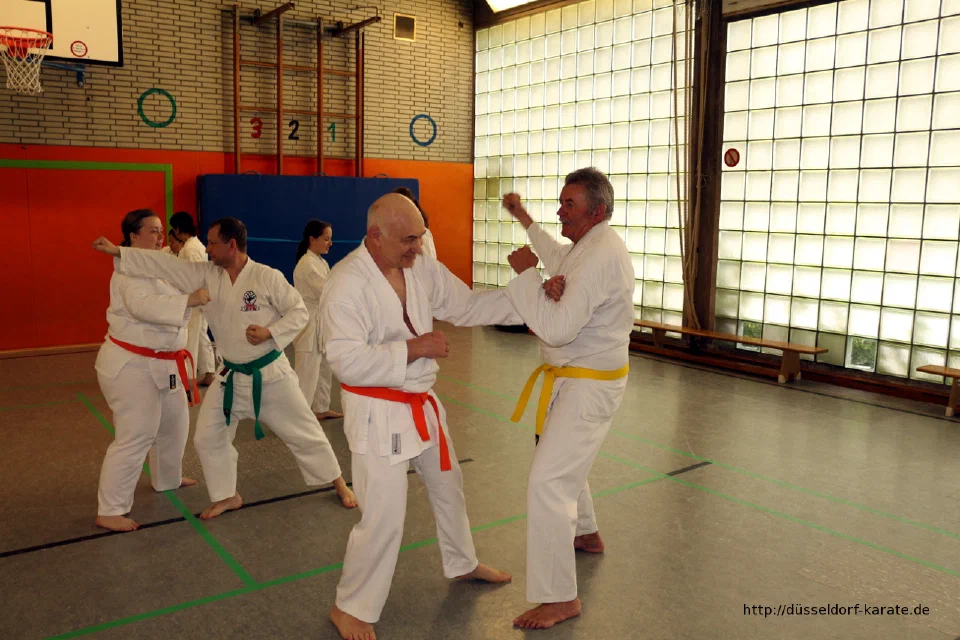 Lehrgang mit Shihan László Harsányi in Düsseldorf, Mai 2017 – Foto 14