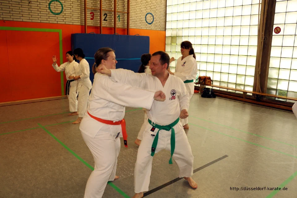 Lehrgang mit Shihan László Harsányi in Düsseldorf, Mai 2017 – Foto 15