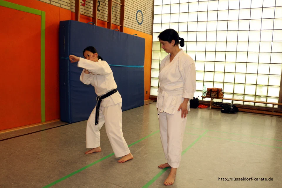 Lehrgang mit Shihan László Harsányi in Düsseldorf, Mai 2017 – Foto 16