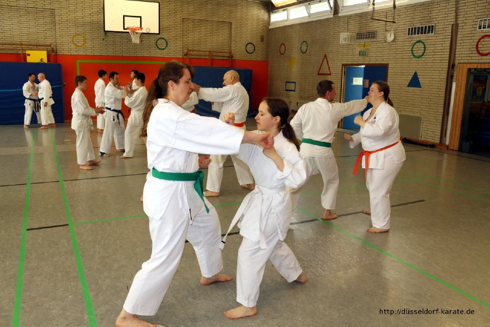 Lehrgang mit Shihan László Harsányi in Düsseldorf, Mai 2017 – Foto 17