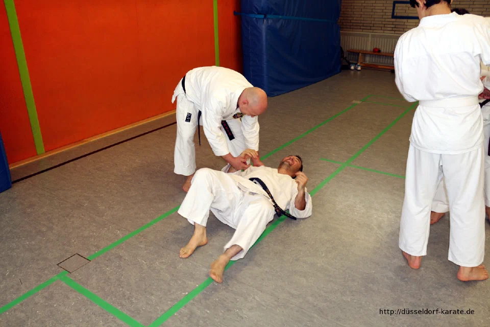 Lehrgang mit Shihan László Harsányi in Düsseldorf, Mai 2017 – Foto 18