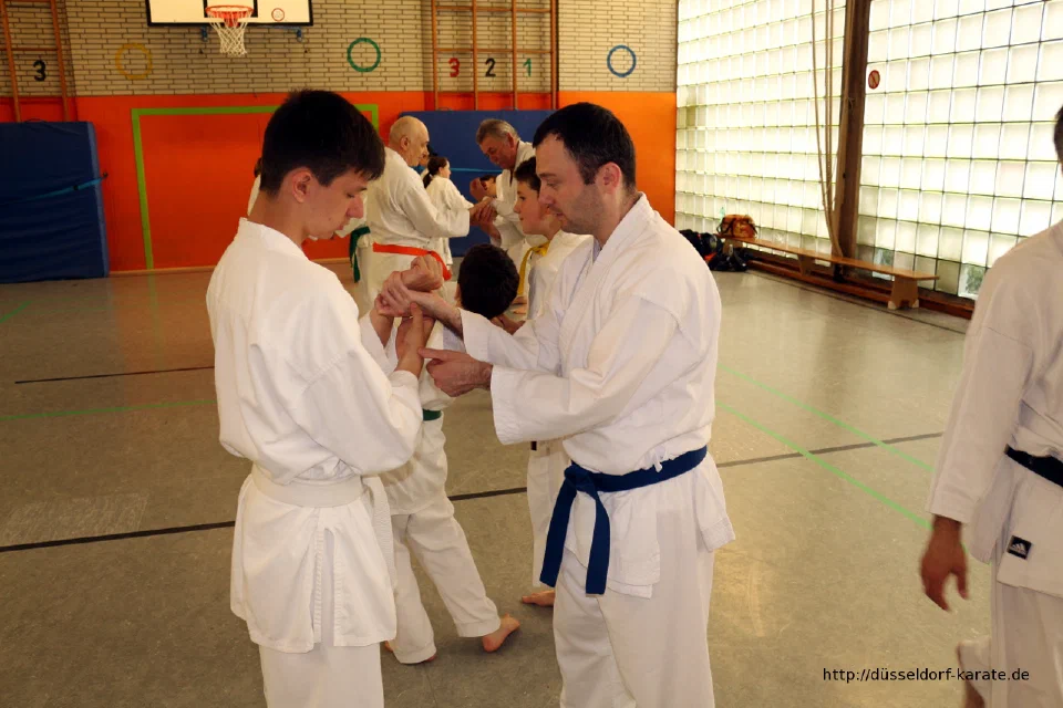 Lehrgang mit Shihan László Harsányi in Düsseldorf, Mai 2017 – Foto 19