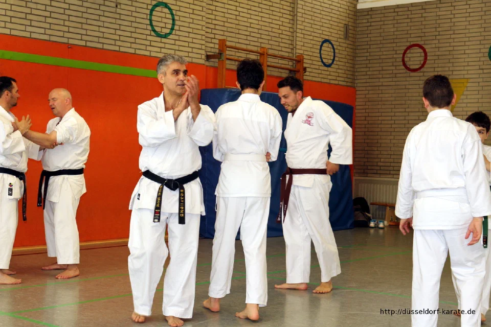 Lehrgang mit Shihan László Harsányi in Düsseldorf, Mai 2017 – Foto 20