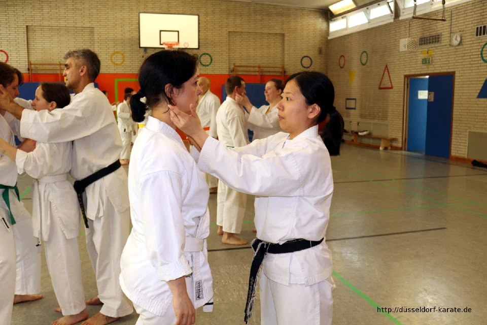 Lehrgang mit Shihan László Harsányi in Düsseldorf, Mai 2017 – Foto 24