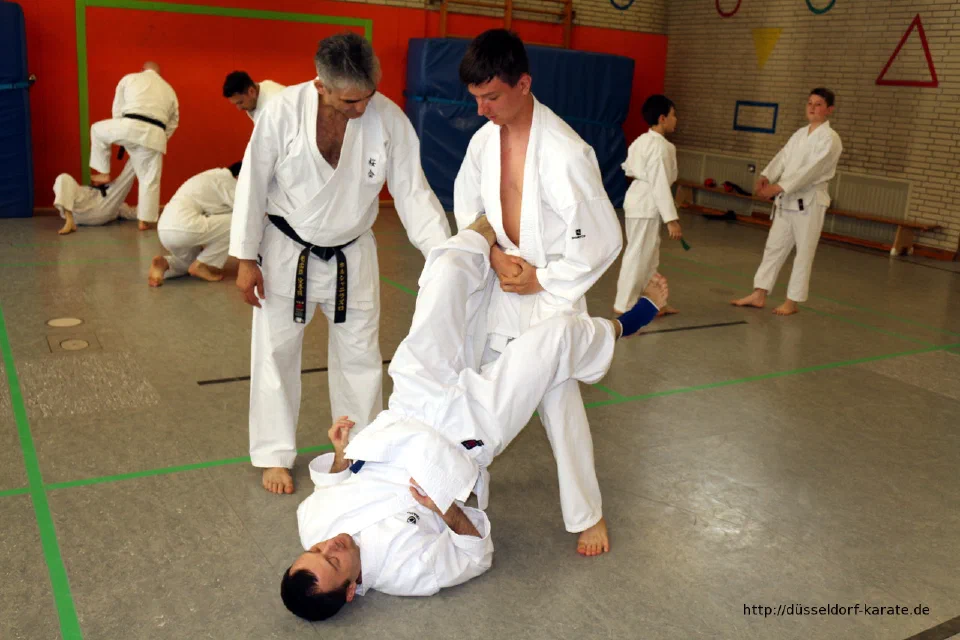 Lehrgang mit Shihan László Harsányi in Düsseldorf, Mai 2017 – Foto 25