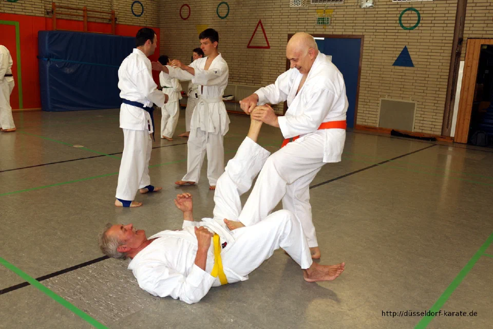 Lehrgang mit Shihan László Harsányi in Düsseldorf, Mai 2017 – Foto 26