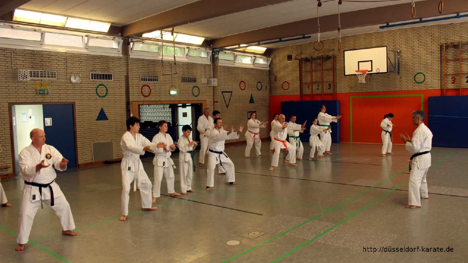 Lehrgang mit Shihan László Harsányi in Düsseldorf, Mai 2017 – Foto 30