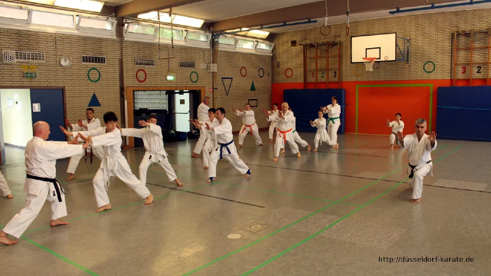 Lehrgang mit Shihan László Harsányi in Düsseldorf, Mai 2017 – Foto 31