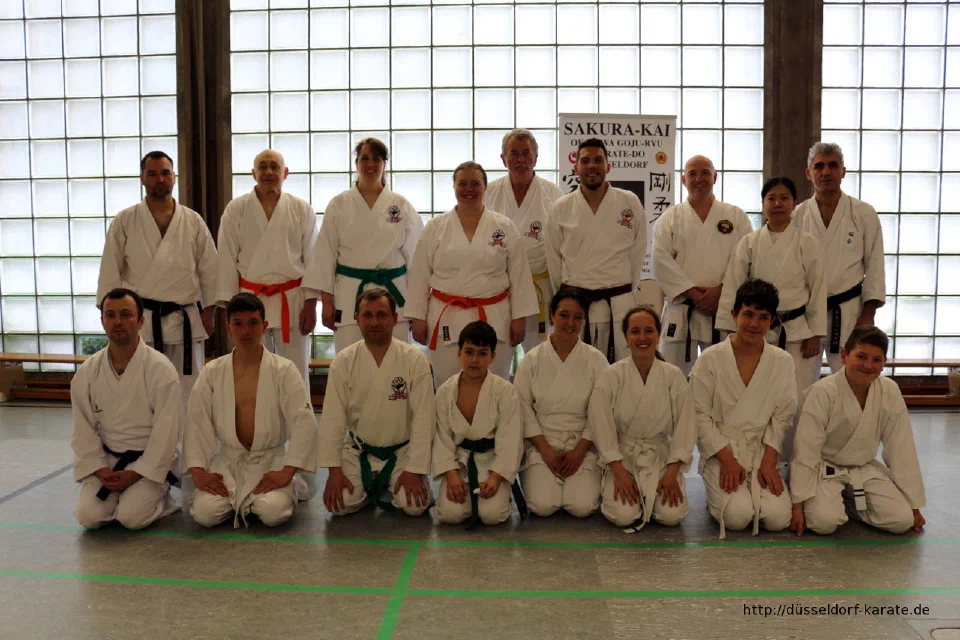 Lehrgang mit Shihan László Harsányi in Düsseldorf, Mai 2017 – Foto 32