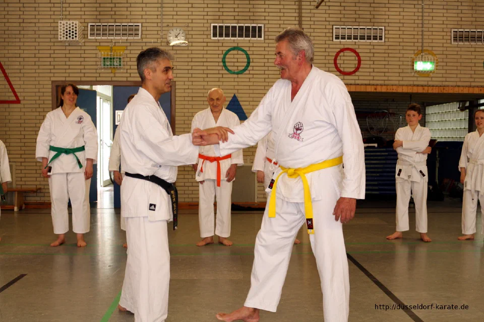 Lehrgang mit Shihan László Harsányi in Düsseldorf, Mai 2017 – Foto 33
