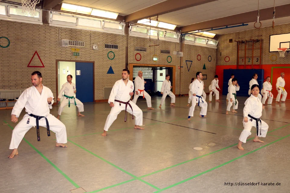 Lehrgang mit Shihan László Harsányi in Düsseldorf, Mai 2017 – Foto 35