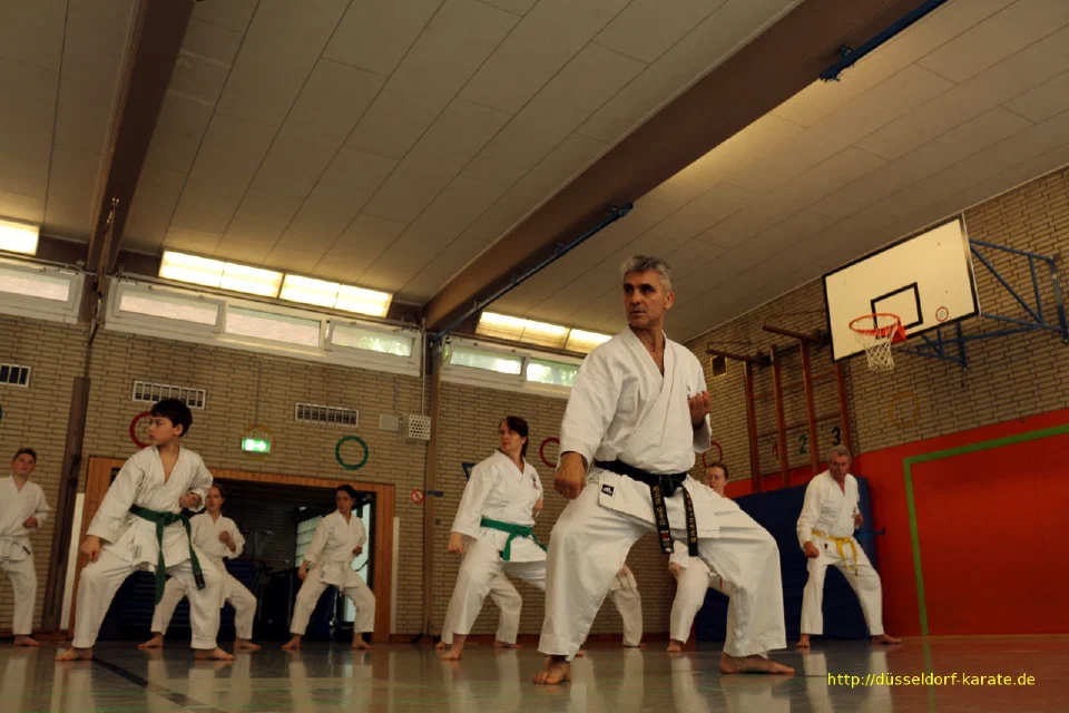 Lehrgang mit Shihan László Harsányi in Düsseldorf, Mai 2017 – Foto 38