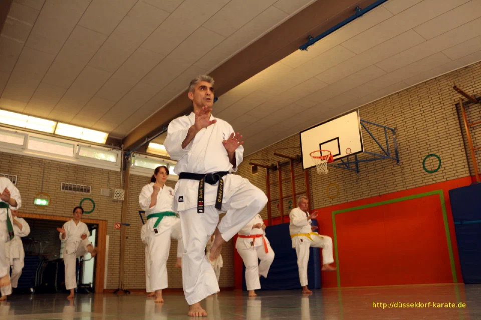 Lehrgang mit Shihan László Harsányi in Düsseldorf, Mai 2017 – Foto 39