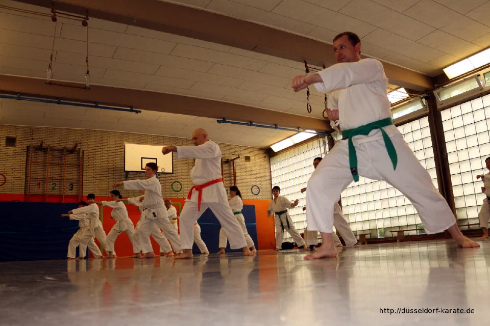 Lehrgang mit Shihan László Harsányi in Düsseldorf, Mai 2017 – Foto 40