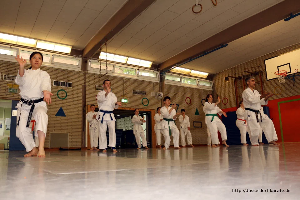 Lehrgang mit Shihan László Harsányi in Düsseldorf, Mai 2017 – Foto 41