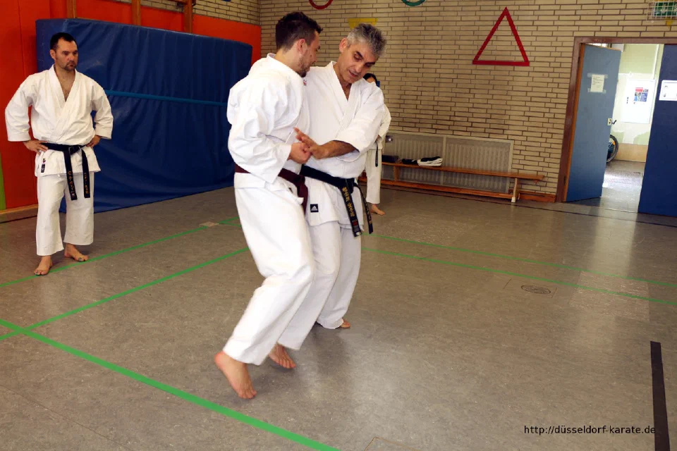 Lehrgang mit Shihan László Harsányi in Düsseldorf, Mai 2017 – Foto 42