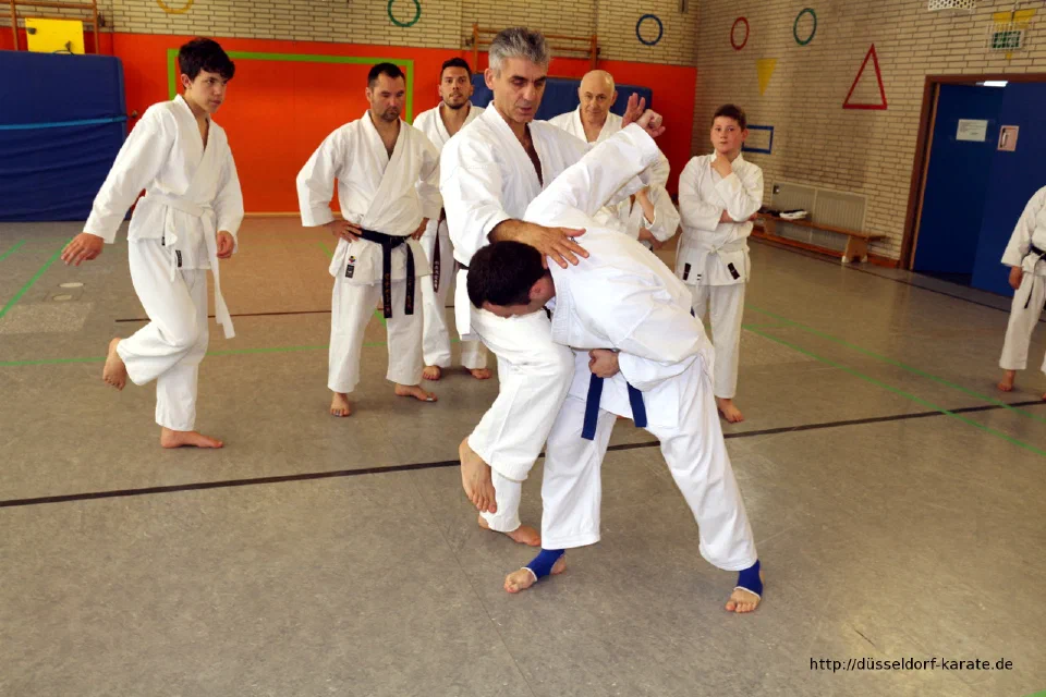 Lehrgang mit Shihan László Harsányi in Düsseldorf, Mai 2017 – Foto 43