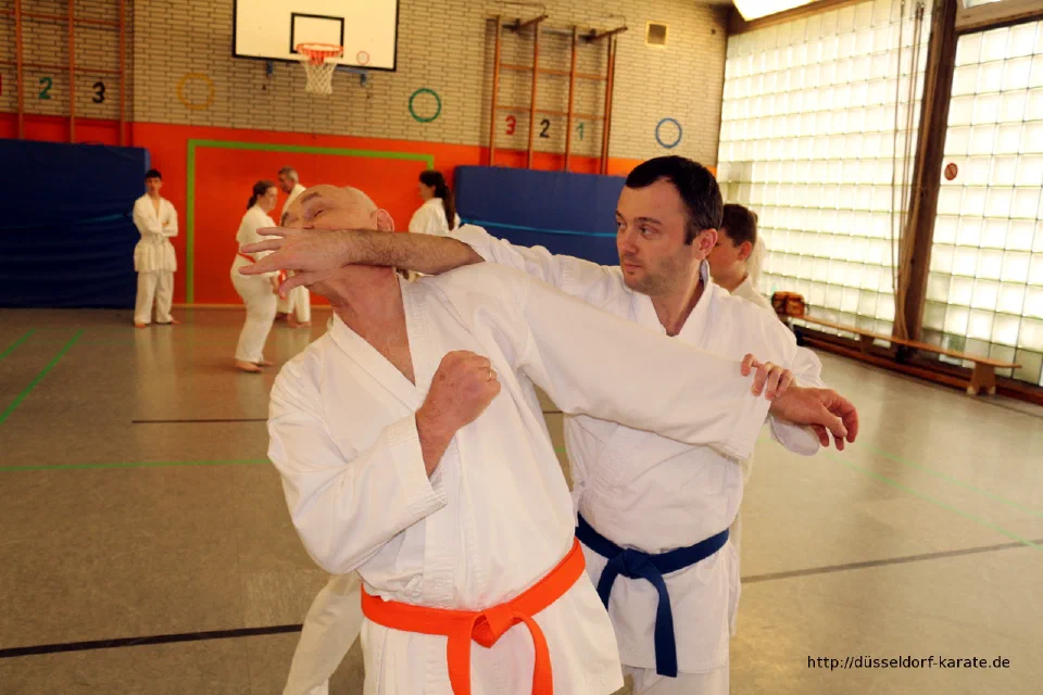 Lehrgang mit Shihan László Harsányi in Düsseldorf, Mai 2017 – Foto 44