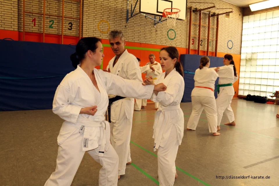 Lehrgang mit Shihan László Harsányi in Düsseldorf, Mai 2017 – Foto 45