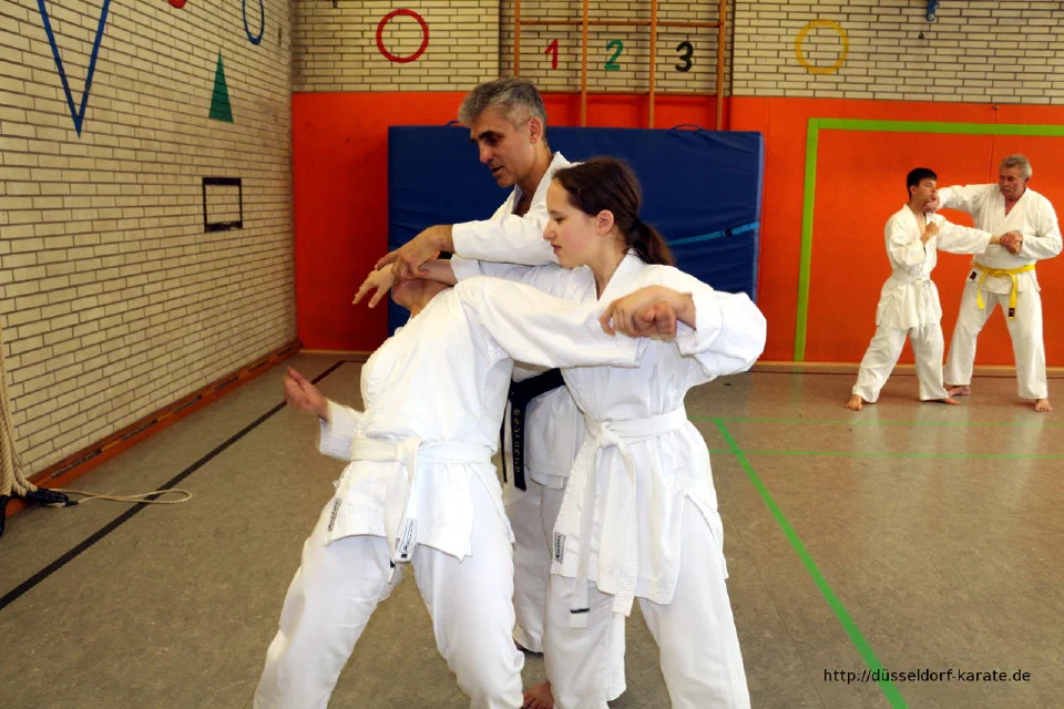 Lehrgang mit Shihan László Harsányi in Düsseldorf, Mai 2017 – Foto 46