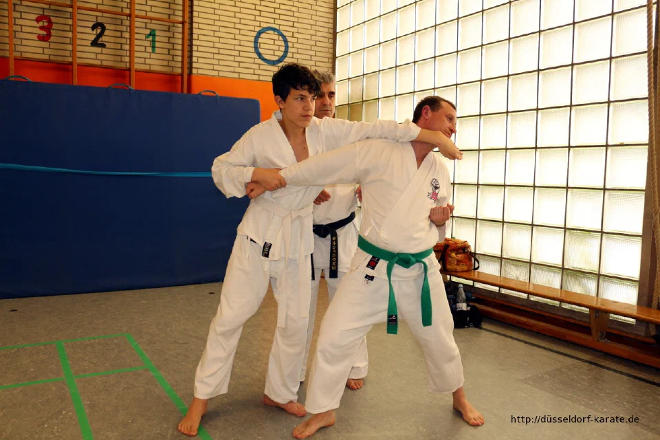 Lehrgang mit Shihan László Harsányi in Düsseldorf, Mai 2017 – Foto 47