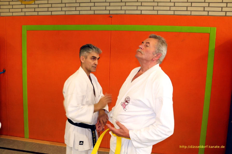 Lehrgang mit Shihan László Harsányi in Düsseldorf, Mai 2017 – Foto 48