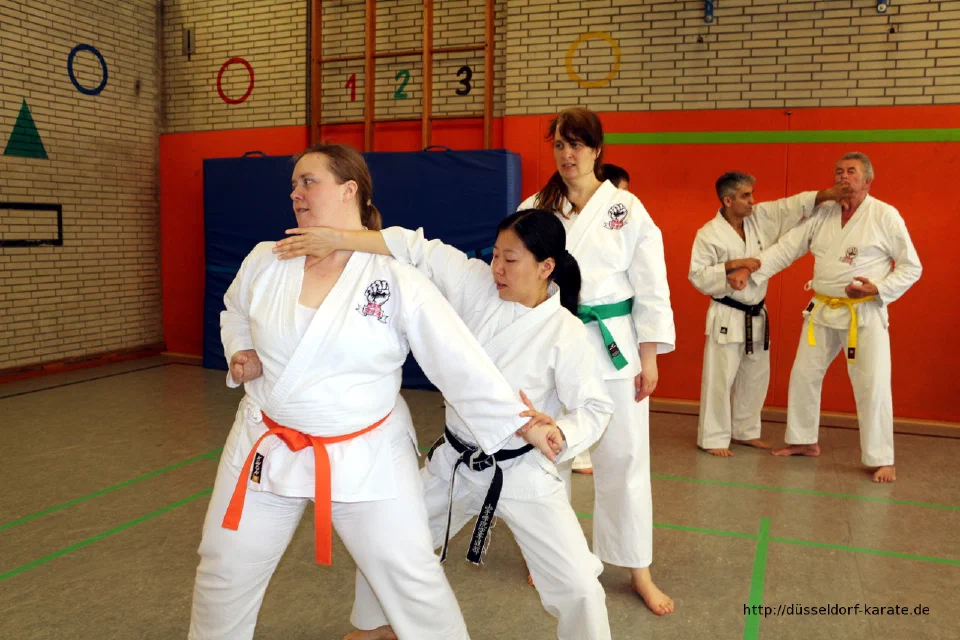 Lehrgang mit Shihan László Harsányi in Düsseldorf, Mai 2017 – Foto 49