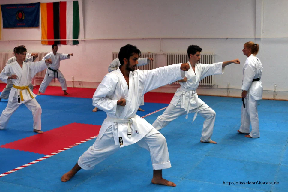 Karate-Training beim Sakura-Kai Sommercamp 2016 in Ungarn
