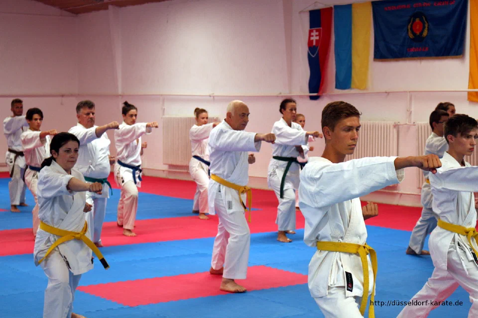 Karate-Training beim Sommercamp 2016 in Ungarn – Foto 2