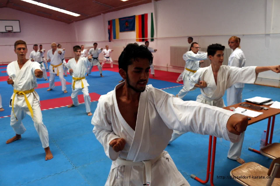 Karate-Training beim Sommercamp 2016 in Ungarn – Foto 4