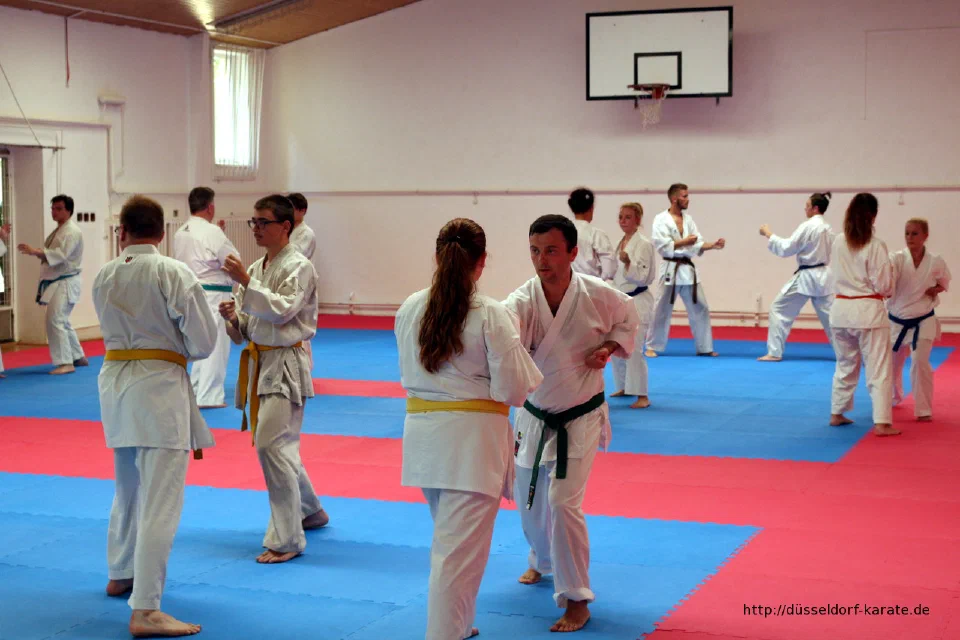 Karate-Training beim Sommercamp 2016 in Ungarn – Foto 7