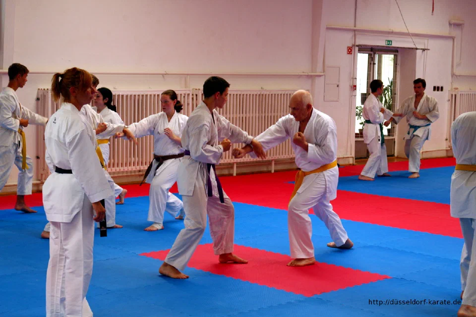 Karate-Training beim Sommercamp 2016 in Ungarn – Foto 8
