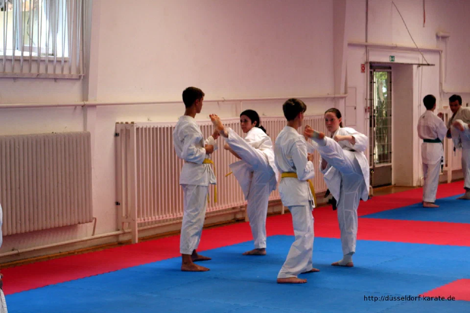 Karate-Training beim Sommercamp 2016 in Ungarn – Foto 9
