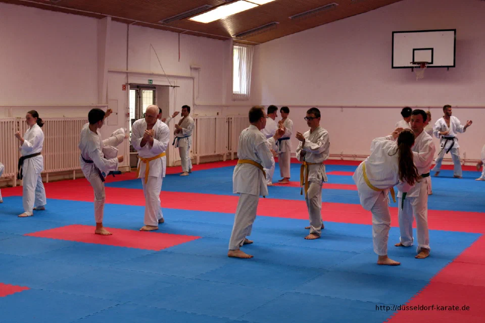 Karate-Training beim Sommercamp 2016 in Ungarn – Foto 10