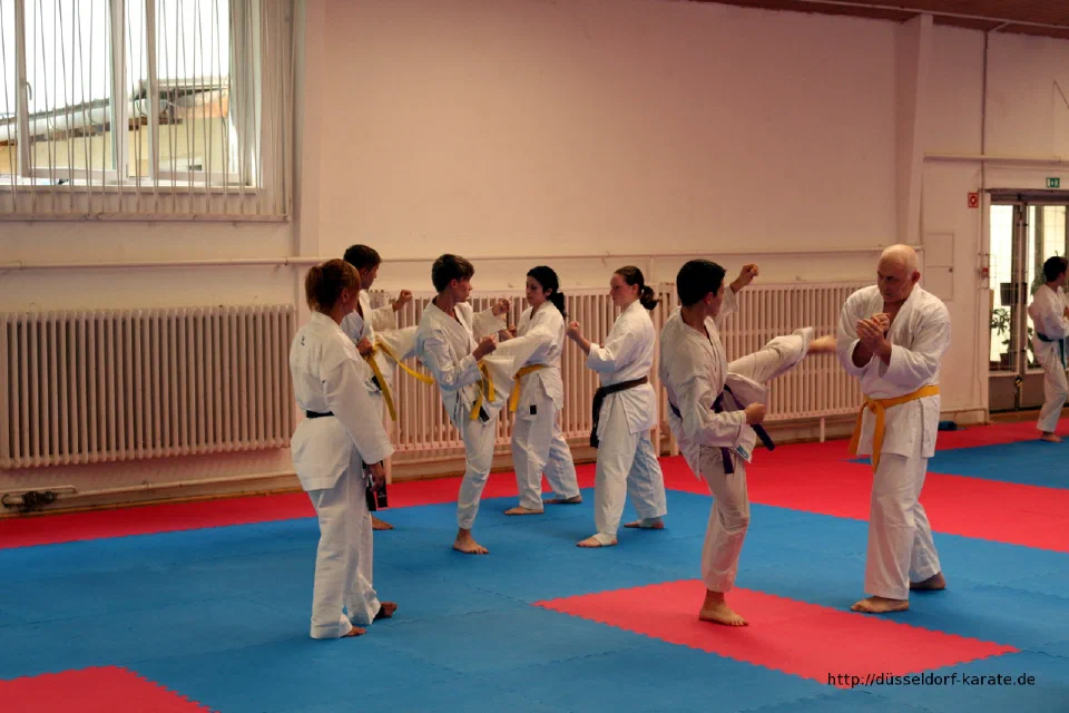 Karate-Training beim Sommercamp 2016 in Ungarn – Foto 11
