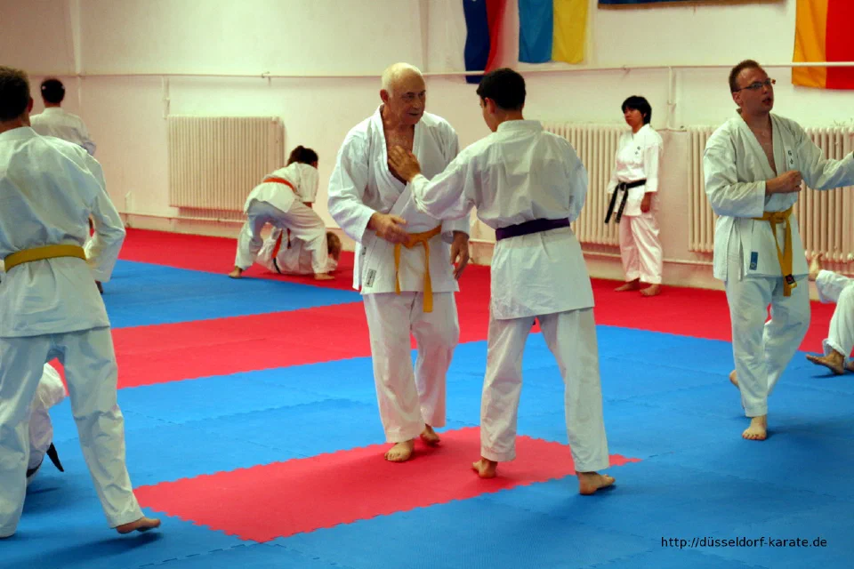 Karate-Training beim Sommercamp 2016 in Ungarn – Foto 12