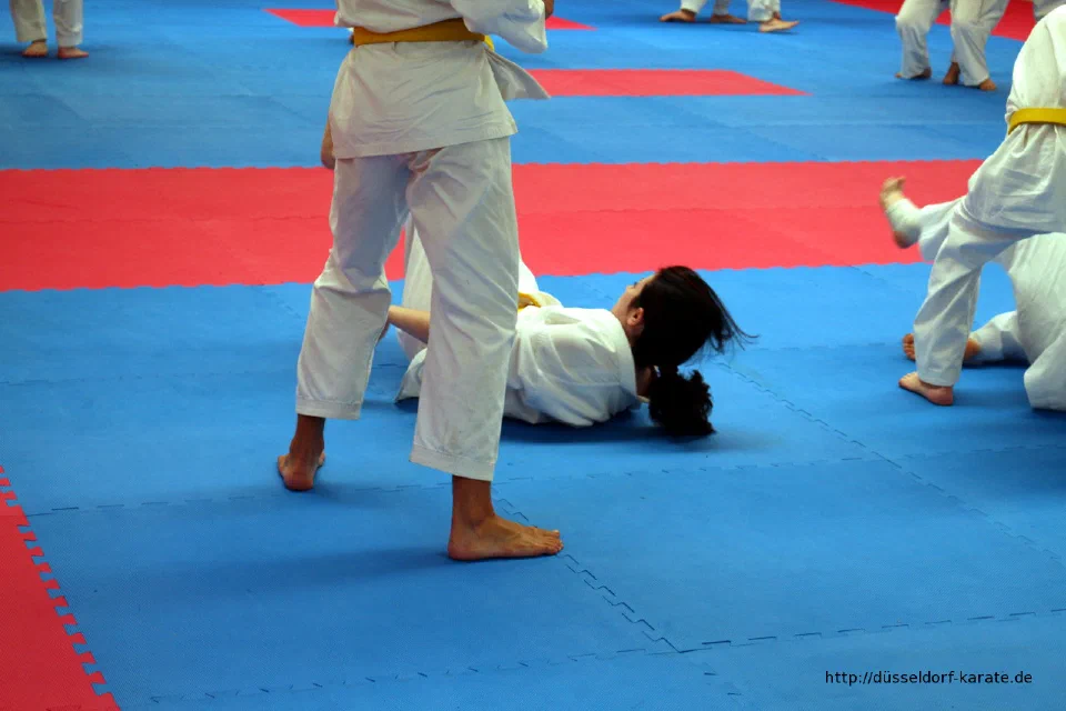 Karate-Training beim Sommercamp 2016 in Ungarn – Foto 13